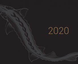 Царь-рыба в календаре научных открытий 2020 года