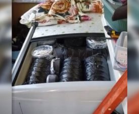 Житель Хабаровска припас 120 кг черной икры для личного потребления