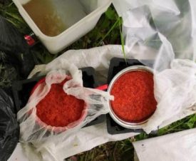 В Хабаровском крае браконьер добыл 30 кг красной икры