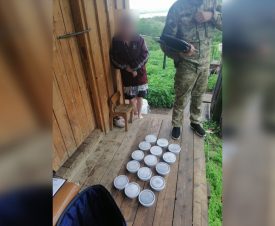 В Хабаровском крае из незаконного оборота изъято около 8 кг черной икры