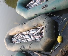 Ученый из магаданского НИИ рыбного хозяйства создал браконьерскую артель