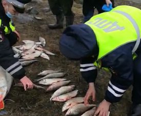 Рыбака из Дудинки за удачный улов отправили в колонию и оштрафовали на 1,2 млн рублей
