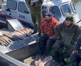 Астраханские пограничники задержали лодку с центнером осетров