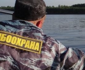 В Астрахани рыбинспектор получил от браконьеров взятку в виде рыбы