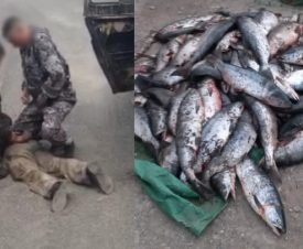 Более 800 кг лосося нашли полицейские в улове браконьеров на Камчатке