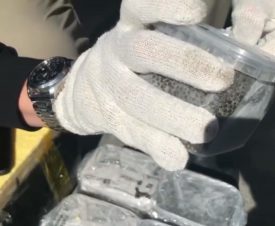Житель Владивостока попался на продаже 10 кг браконьерской черной икры
