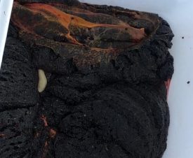 На Амуре в браконьерском катере нашли около 9 кг черной икры