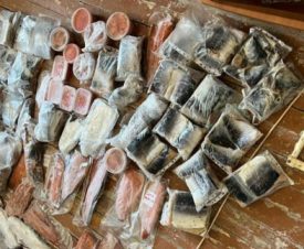 На Сахалине будут судить инспектора рыбоохраны за злоупотребление должностными полномочиями