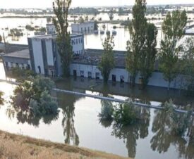 Концы в воду: затопленный на Днепре осетровый завод поставлял деликатесы на черный рынок