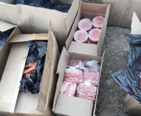 Четверо жителей Приморья приготовили к продаже около 170 кг немаркированной красной икры