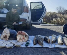 В Волгоградской области семейная пара зарабатывала миллионы на черной икре и осетрине