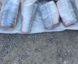Жителя Комсосольска-на-Амуре будут судить за покупку осетрины для семейного ужина