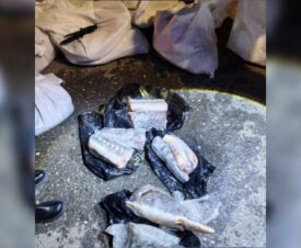 За рыбалку в Астраханской области жителю Воронежа грозит срок